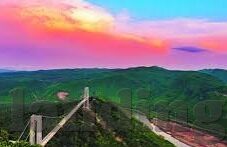 九游app登录不了-九游APP登录难题解析与解决路径